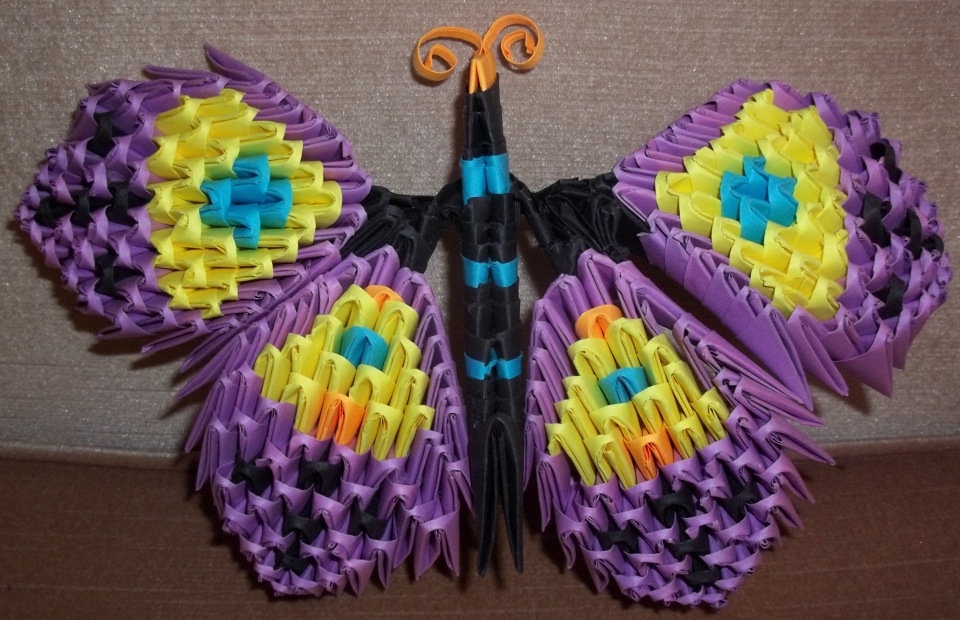 310 piece 3D Modular Origami butterfly folded by Christine Petrell Kallevig